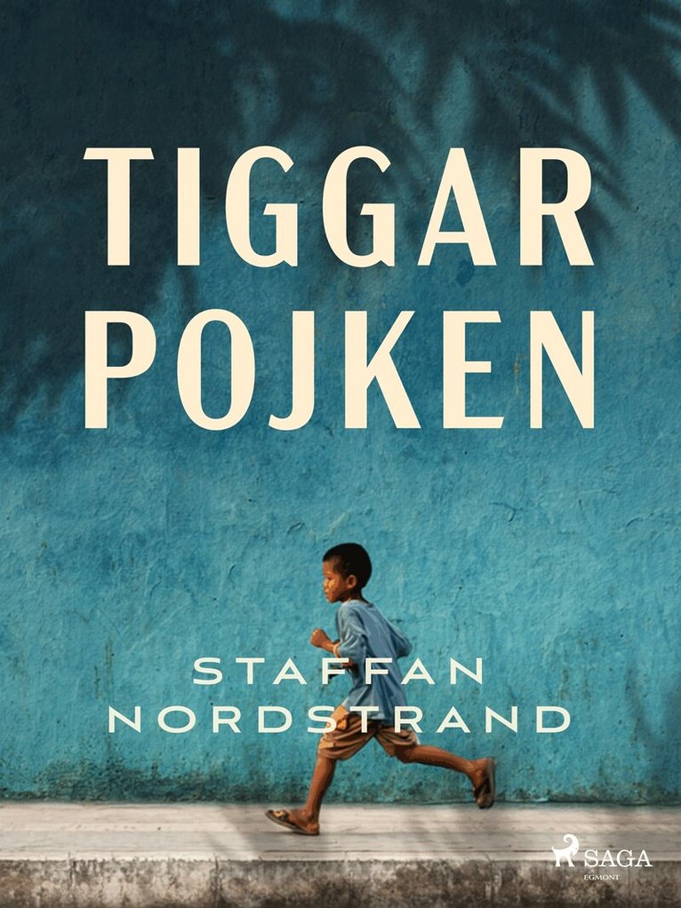 Staffan Nordstrand - Tiggarpojken, E-bok