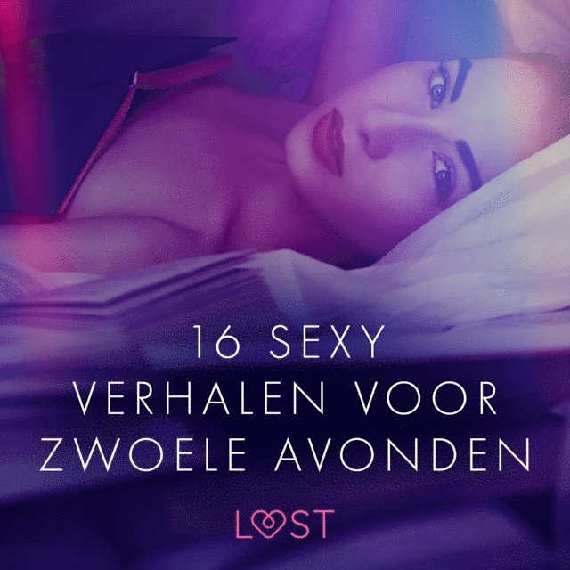 Nielsen, Hansen, Lind, Olrik, Bang, G., Skov, Wiese, Rosdahl - 16 sexy verhalen voor zwoele avonden, Ljudbok