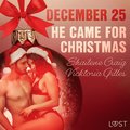 December 25: He Came for Christmas - An Erotic Christmas Calendar