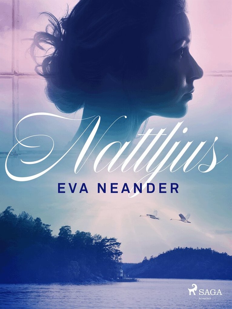 Eva Neander - Nattljus, E-bok