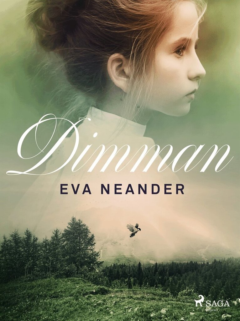 Eva Neander - Dimman, E-bok