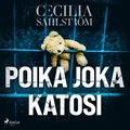 Poika joka katosi 