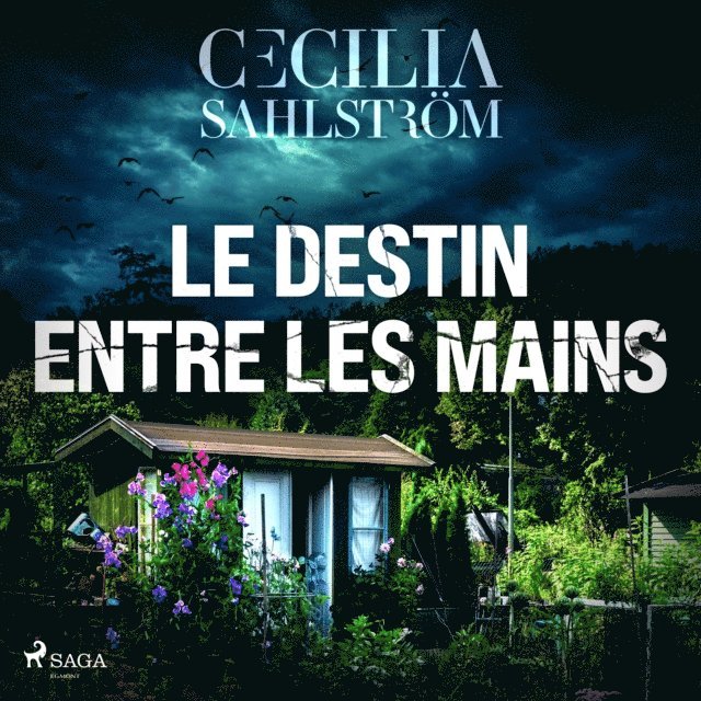 Sahlstrom - Le Destin entre les mains, Ljudbok