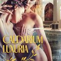 Caldarium Luxuria - erotisk novell
