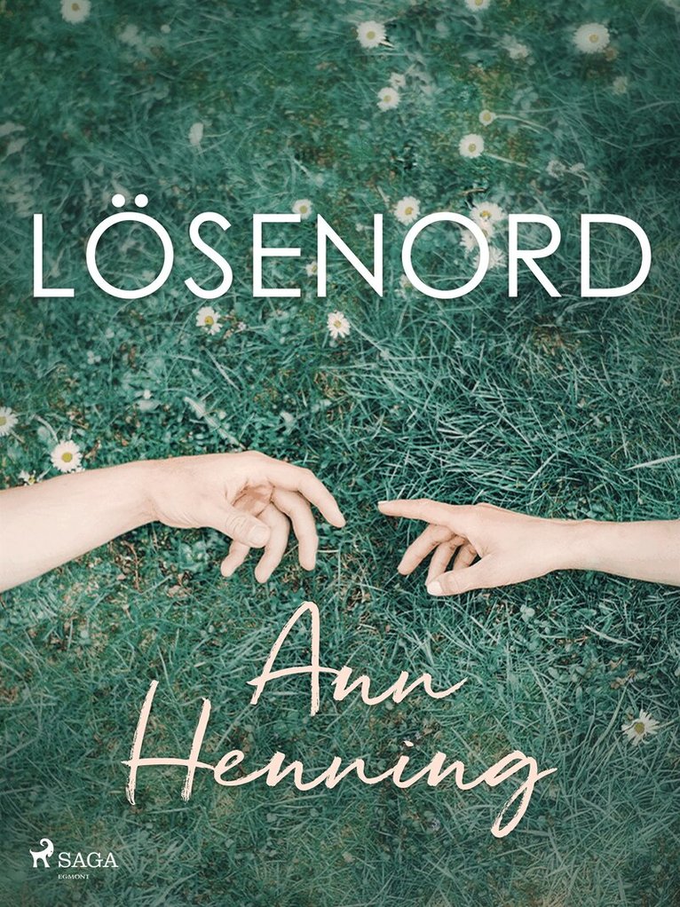 Ann Henning - Lösenord, E-bok