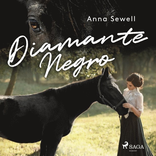Sewell - Diamante Negro, Ljudbok