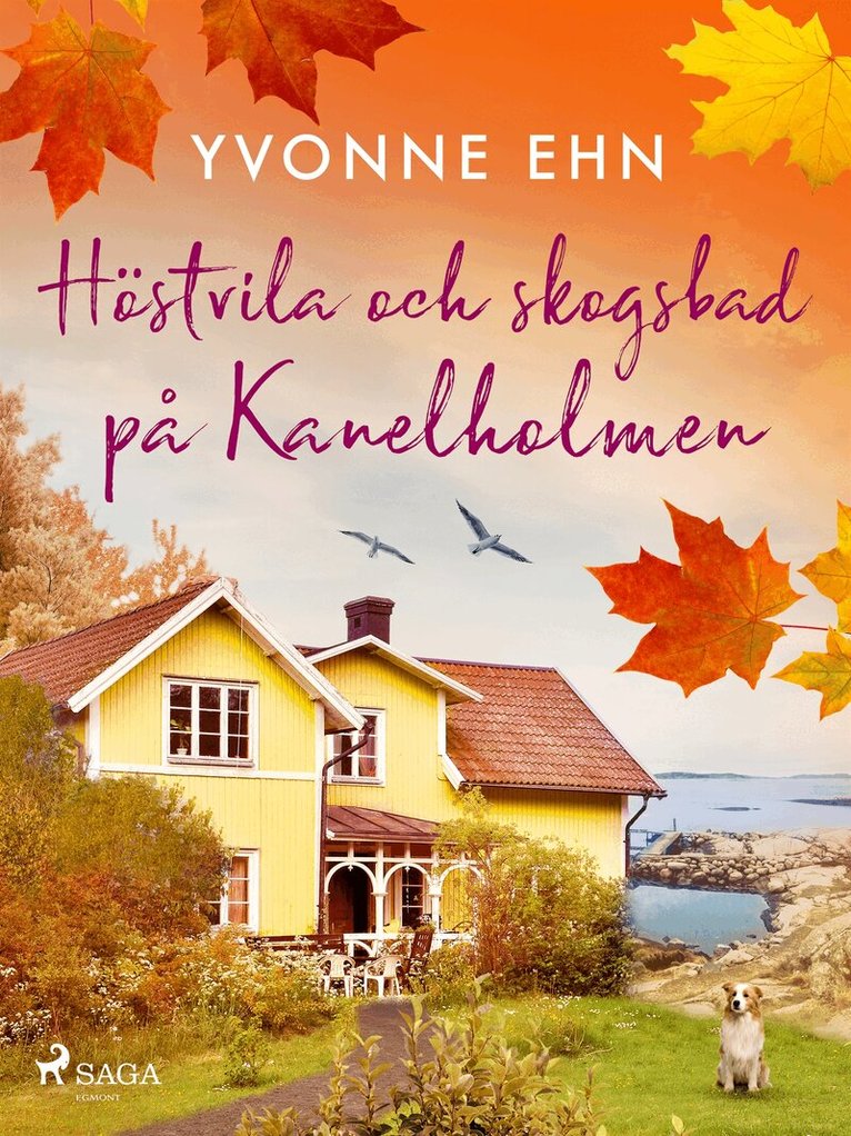 Yvonne Ehn - Höstvila och skogsbad på Kanelholmen, E-bok