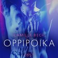 Oppipoika ? eroottinen novelli