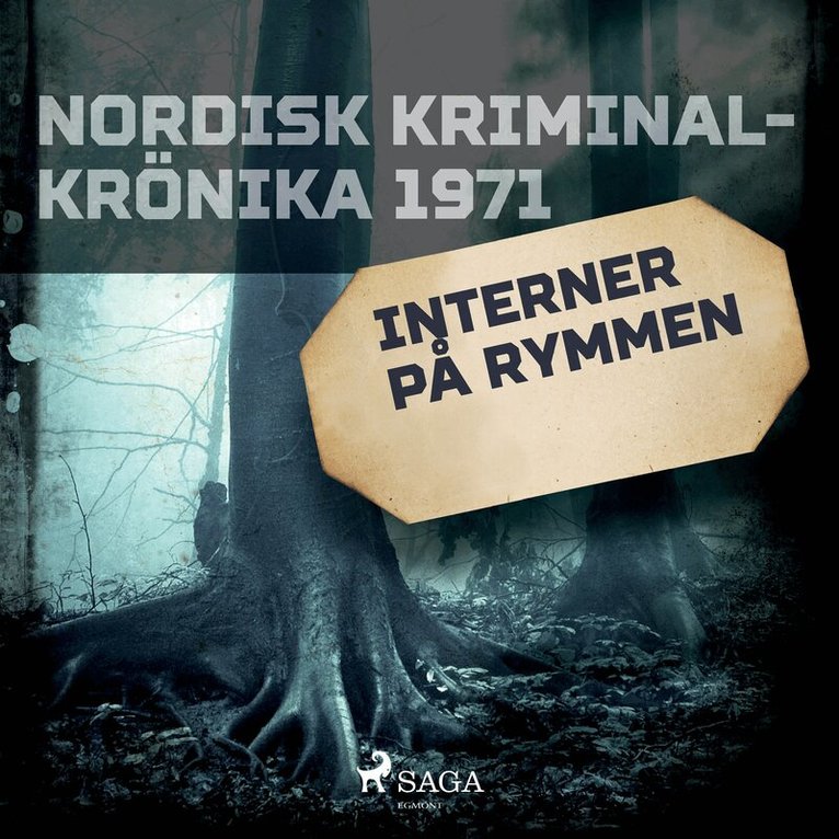 Svenska Polisidrottsförlaget - Interner på rymmen, Ljudbok