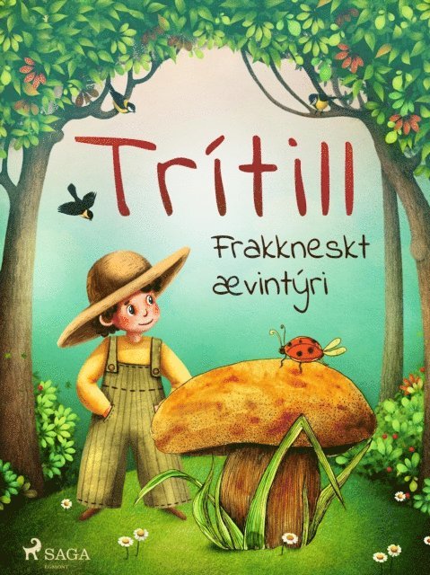 Oþekktur - Trítill: Frakkneskt ævintýri, E-bok