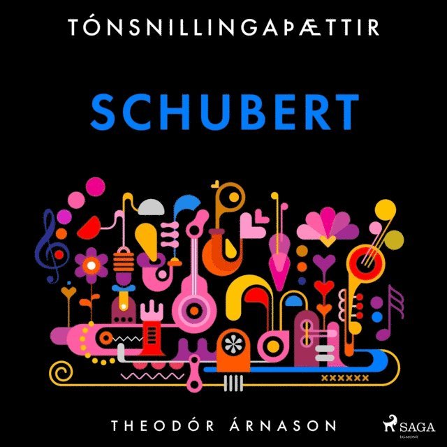 Arnason - TÃ³nsnillingaÃ¾Ã¦ttir: Schubert, Ljudbok