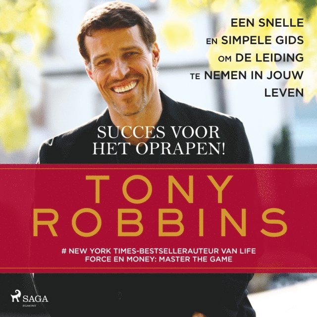 Robbins - Succes voor het oprapen!, Ljudbok
