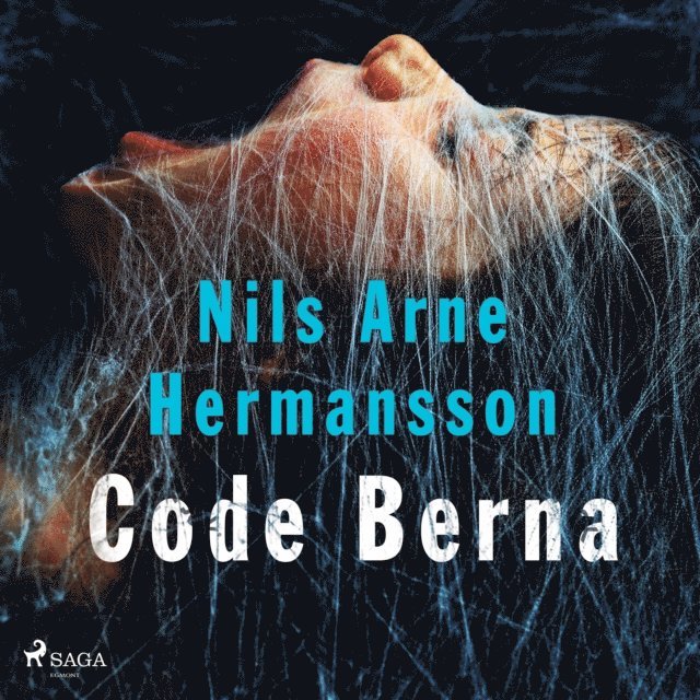 Hermansson - Code Berna, Ljudbok