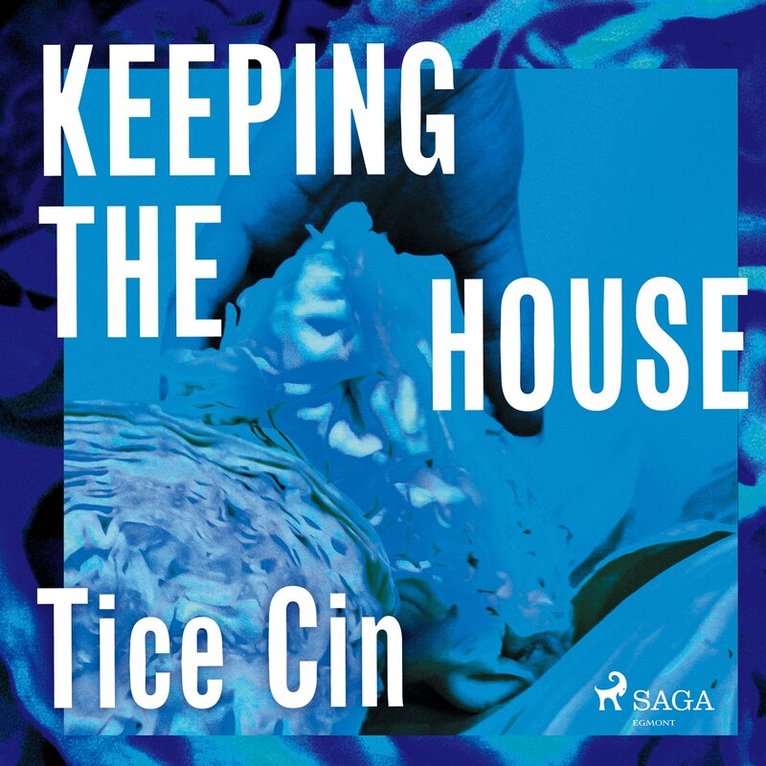 Tice Cin - Keeping the House, Ljudbok
