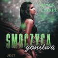 Smoczyca: gonitwa ? opowiadanie erotyczne
