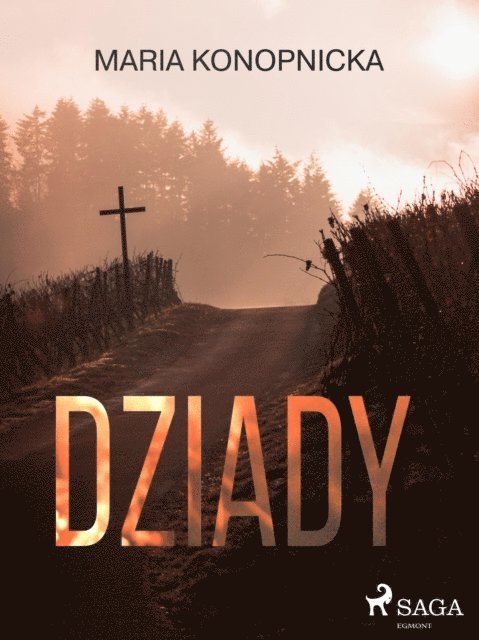 Maria Konopnicka - Dziady, E-bok