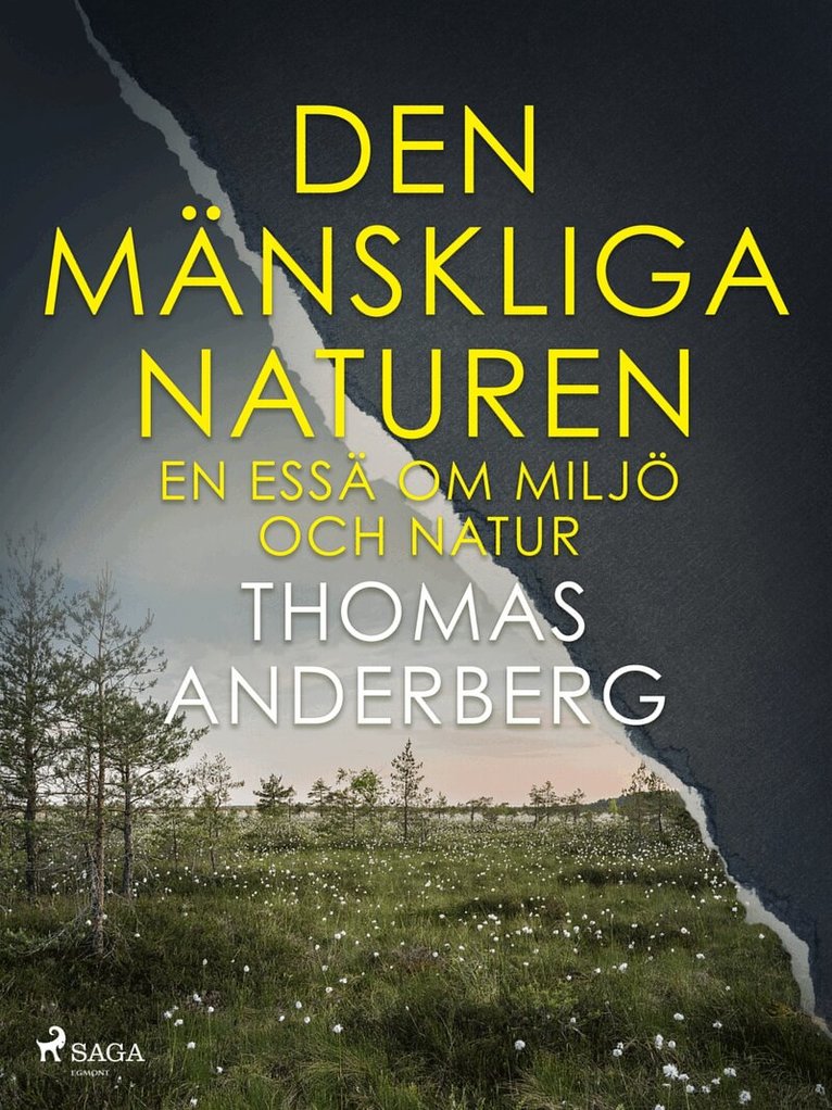 Thomas Anderberg - Den mänskliga naturen, E-bok