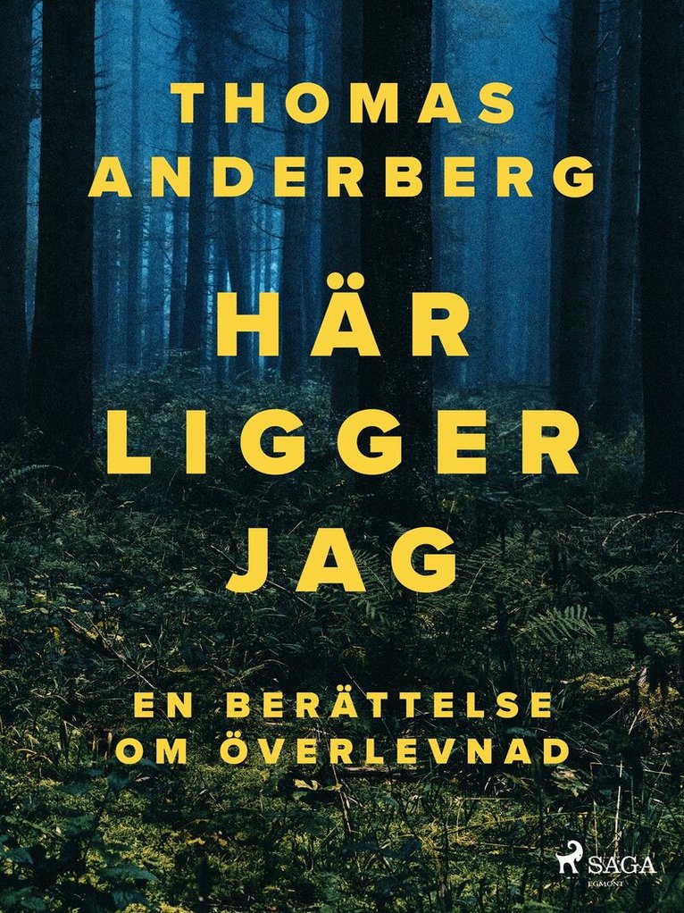 Thomas Anderberg - Här ligger jag, E-bok