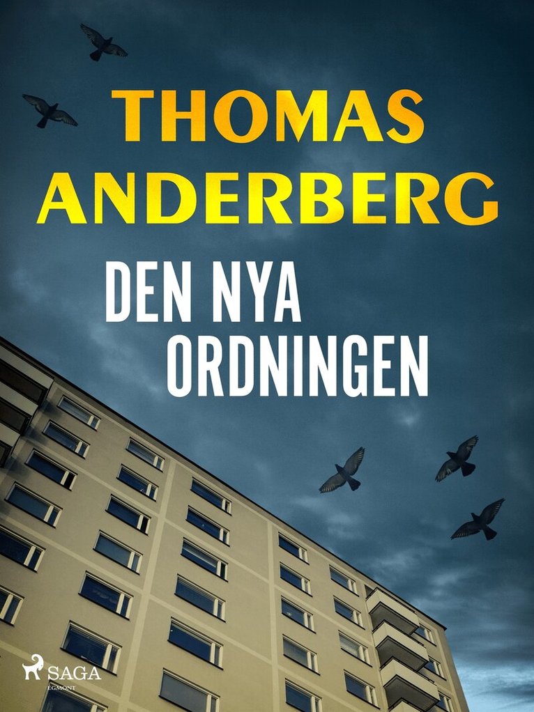 Thomas Anderberg - Den nya ordningen, E-bok