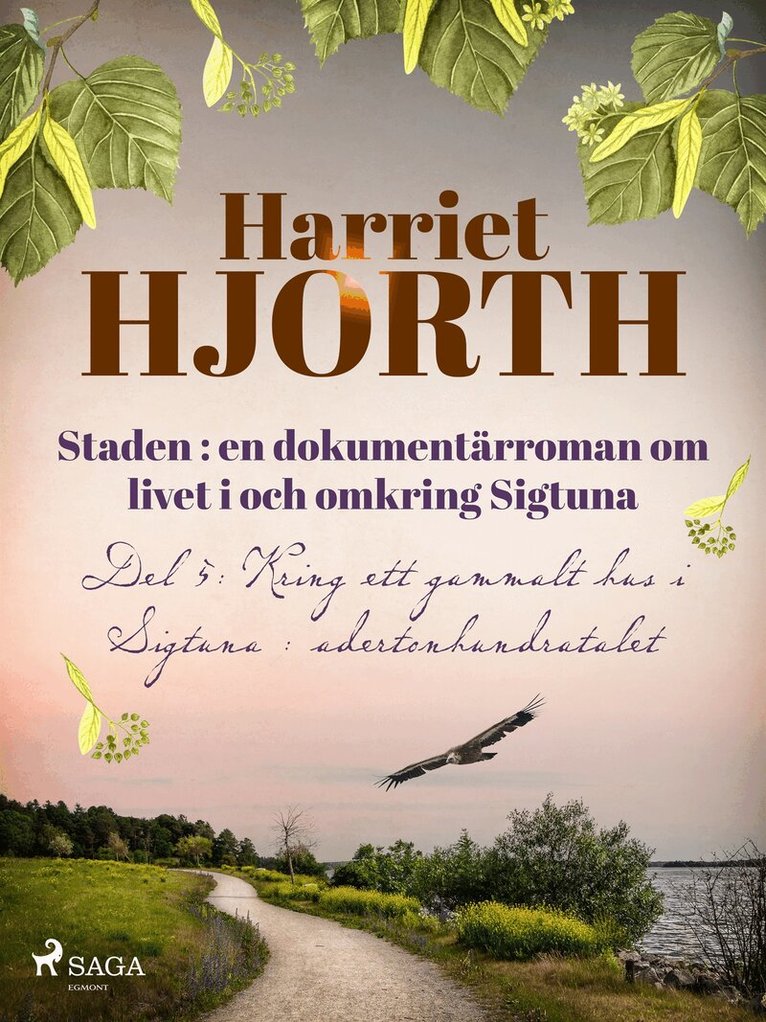 Harriet Hjorth - Staden : en dokumentärroman om livet i och omkring Sigtuna, E-bok