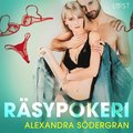 Rsypokeri - eroottinen novelli