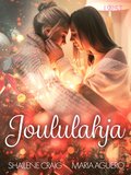 Joululahja ? eroottinen novelli