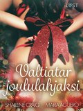 Valtiatar joululahjaksi ? eroottinen novelli