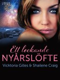 Ett lockande nyårslöfte - nyårserotik
