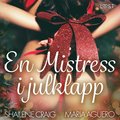 En Mistress i julklapp - BDSM erotik