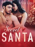 Secret Santa ? erotisk novell