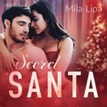 Secret Santa ? erotisk novell