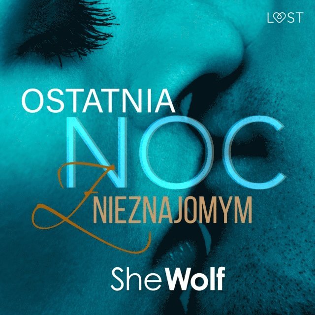 SheWolf - Ostatnia noc z nieznajomym – opowiadanie erotyczne, Ljudbok