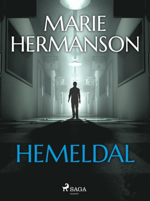 Marie Hermanson - Hemeldal, E-bok