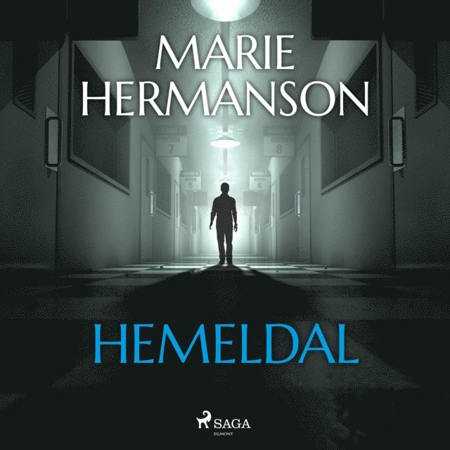 Hermanson - Hemeldal, Ljudbok