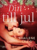 Din till jul - erotisk julnovell