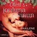 Olen jouluna sinun ? eroottinen novelli