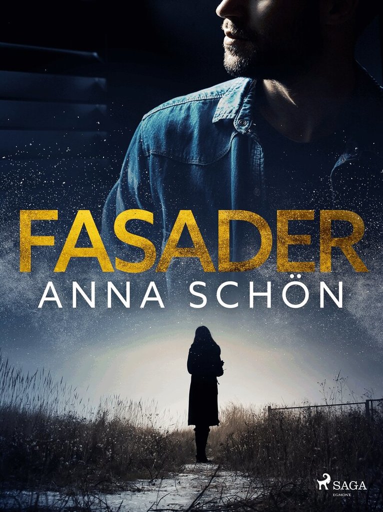 Anna Schön - Fasader, E-bok