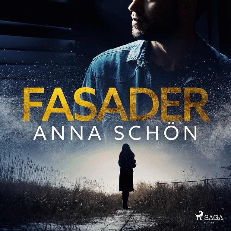 Anna Schön - Fasader, Ljudbok