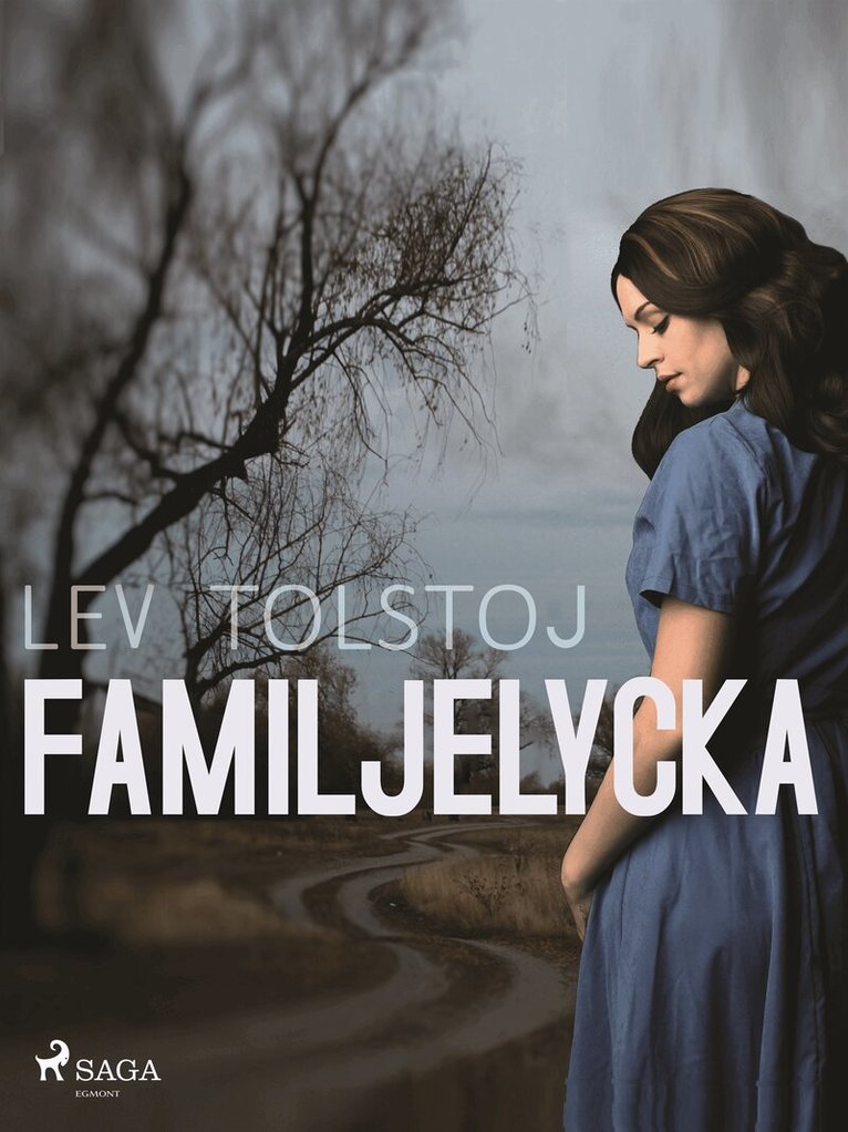 Lev Tolstoj - Familjelycka, E-bok