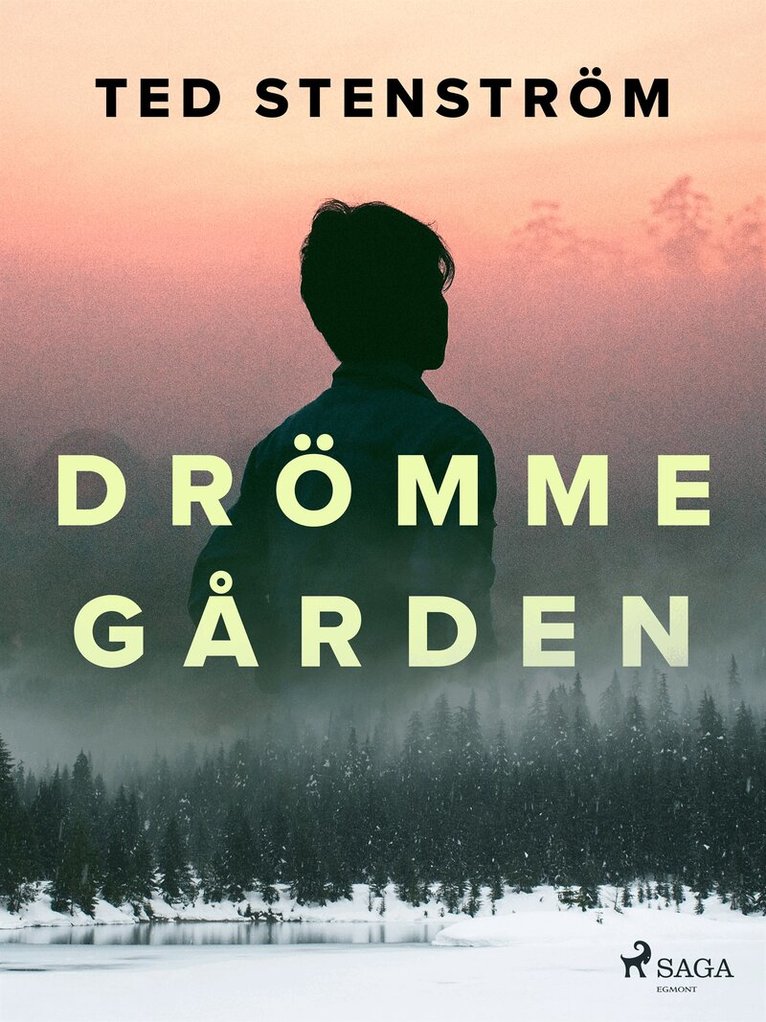 Ted Stenström - Drömmegården, E-bok