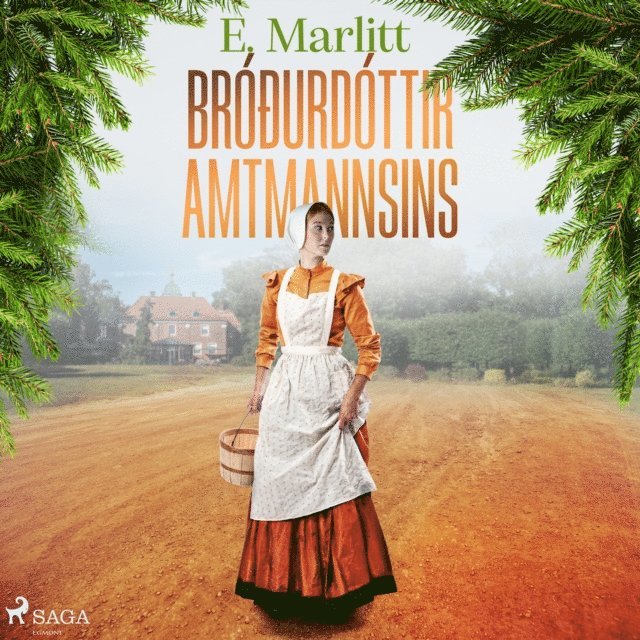 Marlitt - Bróðurdóttir amtmannsins, Ljudbok