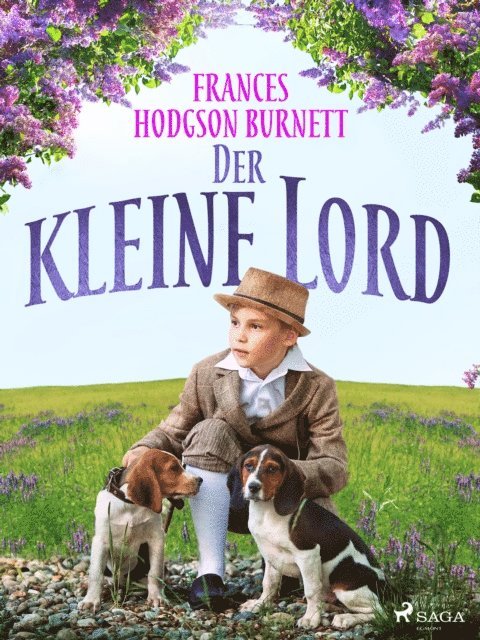 Frances Hodgson Burnett - Der kleine Lord, E-bok