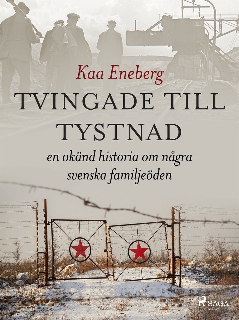 Kaa Eneberg - Tvingade till tystnad, E-bok
