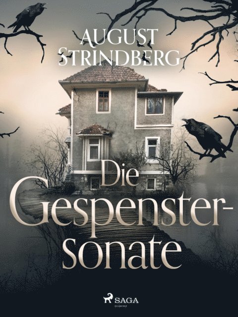 August Strindberg - Die Gespenstersonate, E-bok