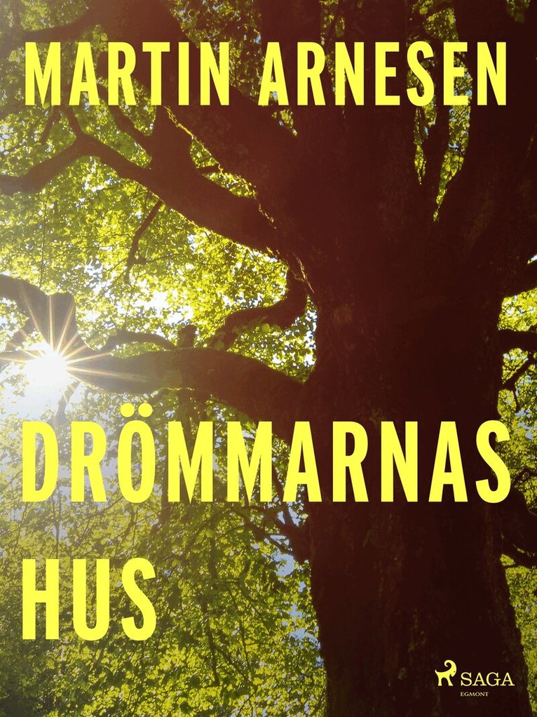 Martin Arnesen - Drömmarnas hus, E-bok