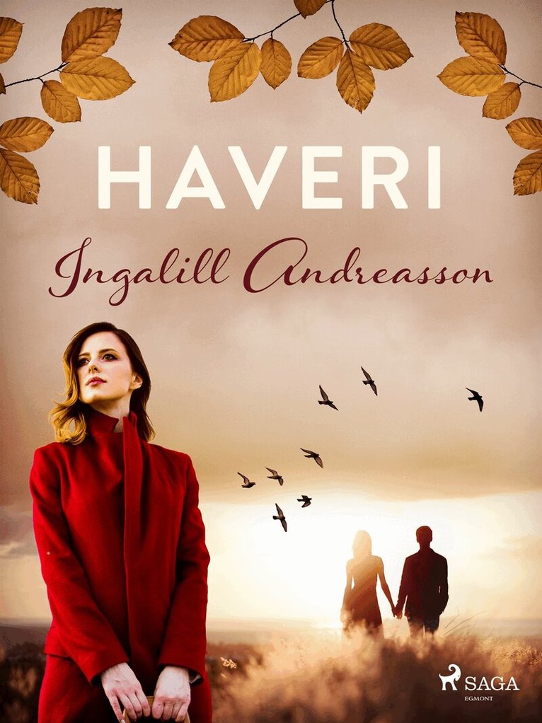 Ingalill Andreasson - Haveri, E-bok