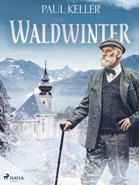 Paul Keller - Waldwinter, E-bok