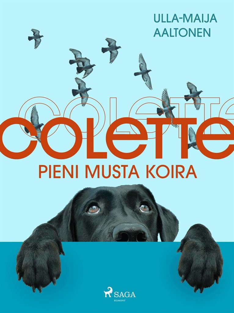 Ulla-Maija Aaltonen - Colette, pieni musta koira, E-bok