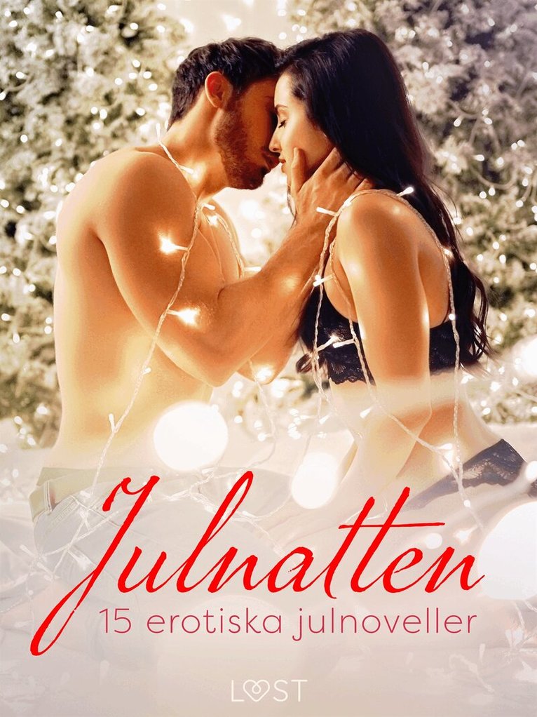 Shailene Craig, Camille Bech, Malin Edholm, Lisa Vild, Elena Lund, Elise Storm, Virginie Bégaudeau, Vicktoria Gilles, Desirée Coy, Sara Agnès L., Erika Svensson - Julnatten - 15 erotiska julnoveller, E-bok. Tillgänglighet: Lägg i varukorg