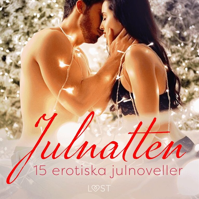 Shailene Craig, Camille Bech, Malin Edholm, Lisa Vild, Elena Lund, Elise Storm, Virginie Bégaudeau, Vicktoria Gilles, Desirée Coy, Sara Agnès L., Erika Svensson - Julnatten - 15 erotiska julnoveller, Ljudbok. Tillgänglighet: Lägg i varukorg